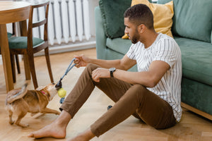 Fun and Engaging Pet Toys for Happier Pets